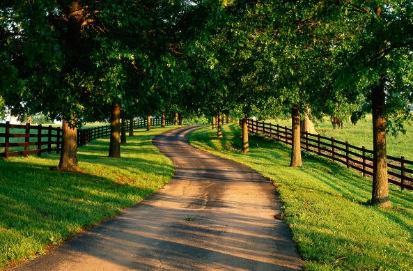 Çünkü yol mütemadiyen öğretir