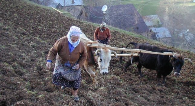 Helal lokma neden bu kadar önemlidir?