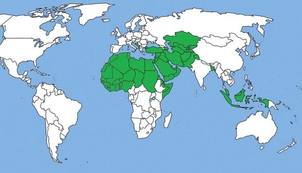 Başlangıçtan 1927 yılına kadar İslâm devletleri tarihi