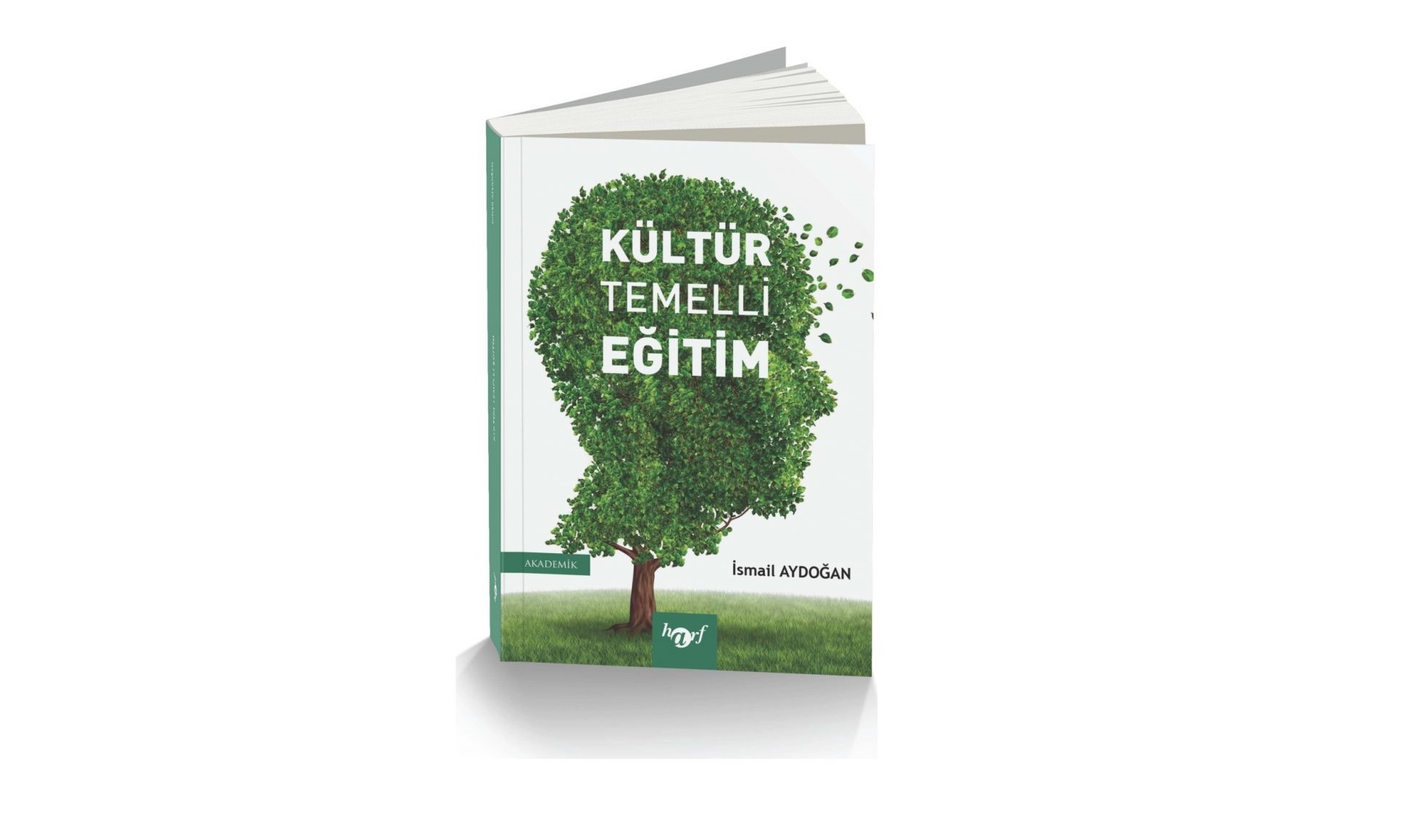 Kültür temelli eğitim