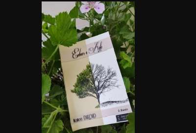 Birkaç Parça Hayal Kırıklığı: “Enhar-ı Aşk”