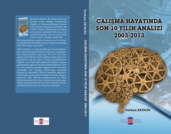 Çalışma Hayatının Son On Yılının Analizi: 2003-2013