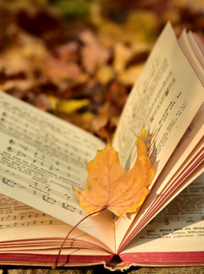 Turhan Yıldırım: Edebiyat ve Müzik - Kitap Önerileri