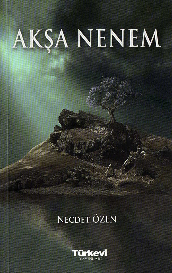 İlk Nogayca roman kitabı yayınlandı…