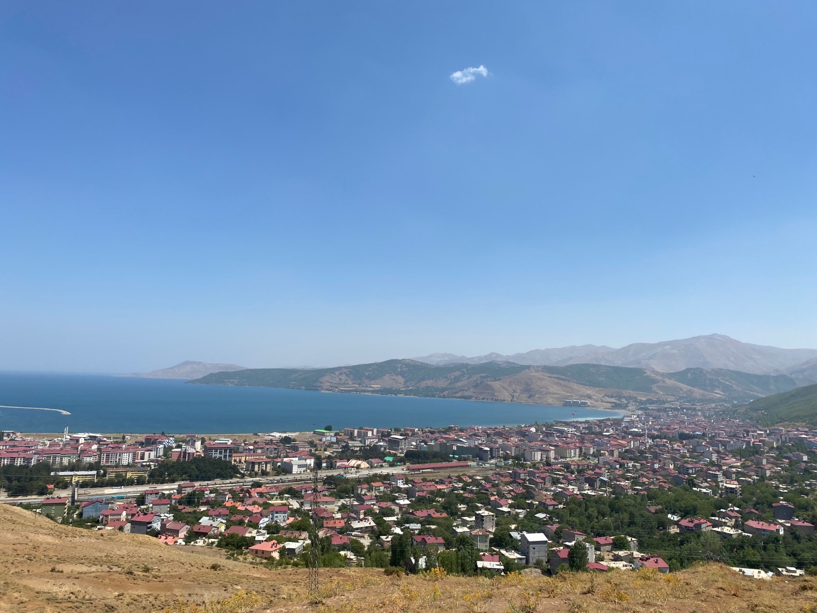 Dağın Zirvesinde Bir Van Kedisi: Nemrut Krater Gölü