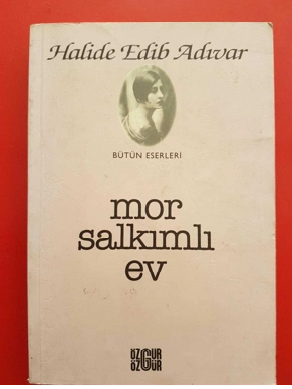 Halide Edib Adıvar’ın “Mor Salkımlı Ev”i