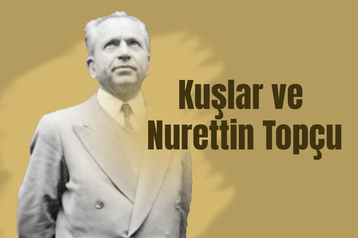 Kuşlar ve Nurettin Topçu