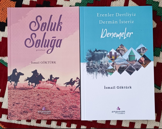 Ali Büyükçapar: İsmail Göktürk’ten İki Kitap
