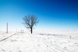 Edebiyat Festivali'nde şiir şöleni