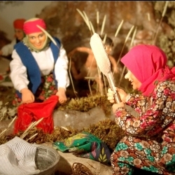 Anadolu Kültürünü Balmumu Eserler ile Tanıtım