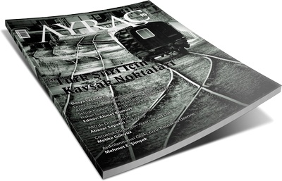 Ayraç 15 Çıktı: “Türk Şiiri İçin Kavşak Noktaları”