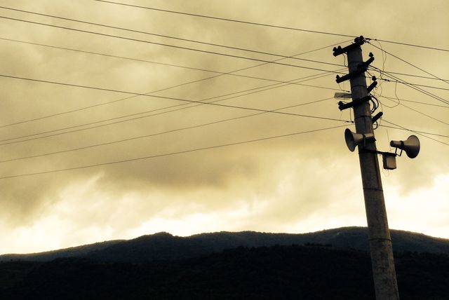 Okuma ve okunmanın ortak 'tema'sı