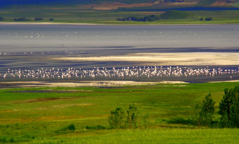 Seyfe Gölü tamamen kurudu