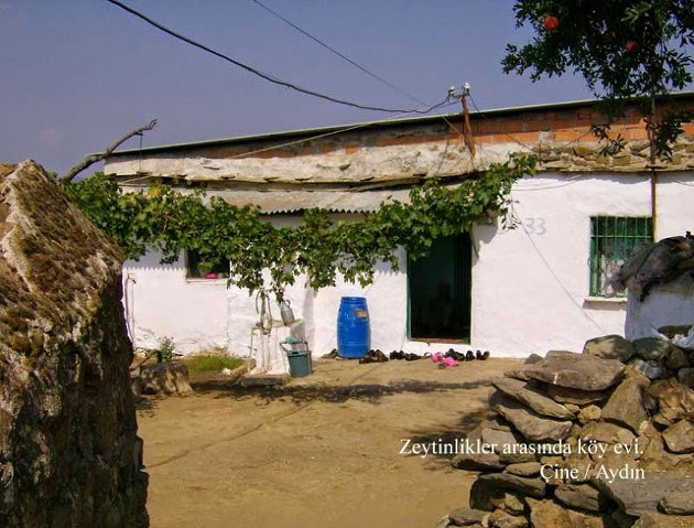 21. yüzyıl kervansarayı ne zaman ortaya çıkacak?