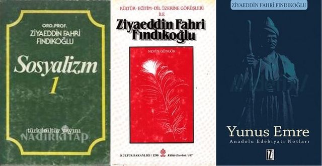 Ziyaeddin Fahri Fındıkoğlu'nun çabası ne içindi?