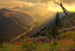 Kısık seslerin toplandığı vadi