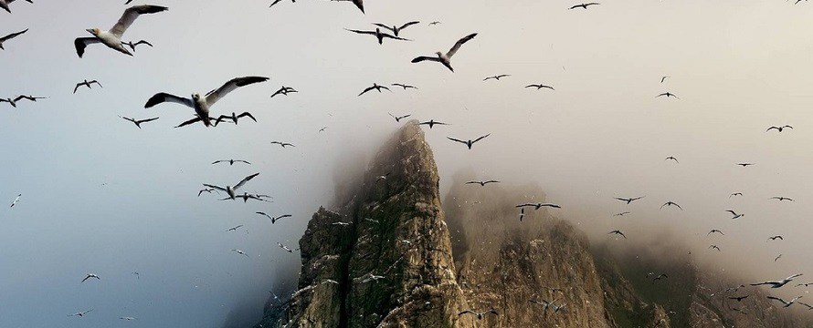 Zümrüt Karabudak, Dağlıların Öfkesi