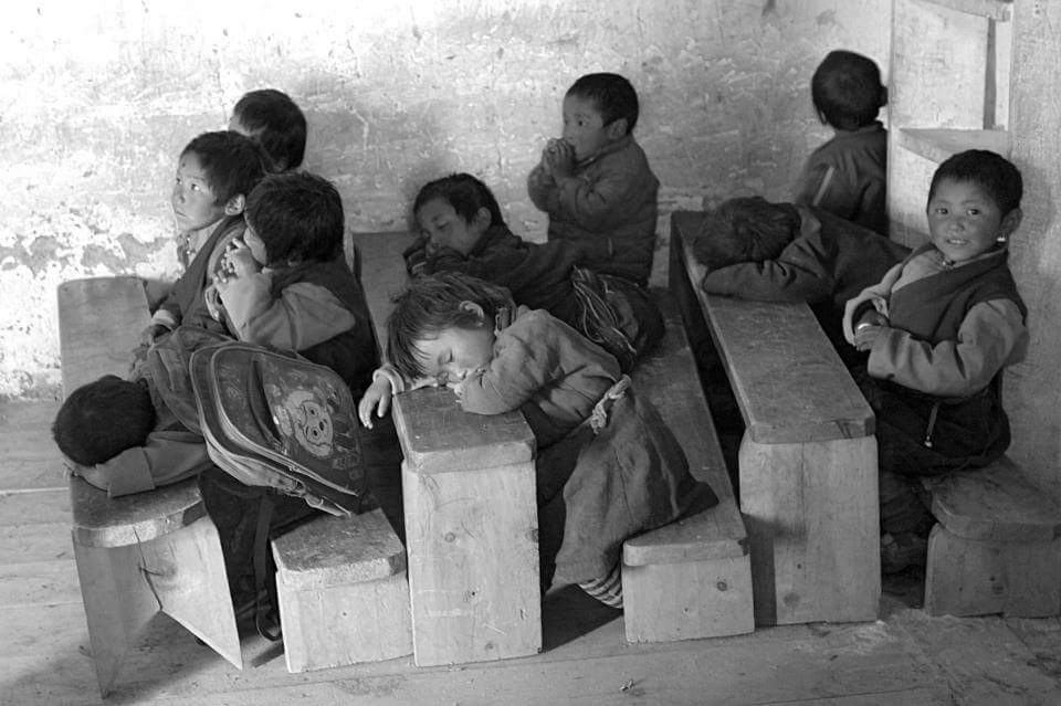 Çeşitli Yayınevlerinden Yeni Çıkan Kitaplar / Mayıs 2016