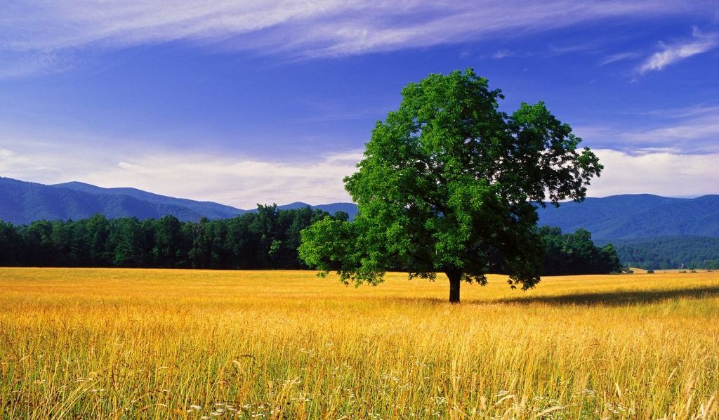 Çeşitli Yayınevlerinden Yeni Çıkan Kitaplar / Haziran 2016