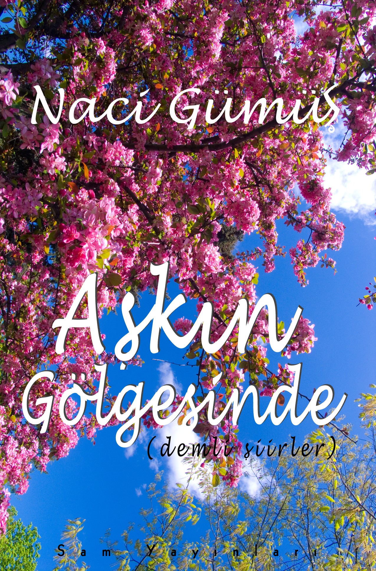 Naci GÜMÜŞ: AŞKIN GÖLGESİNDE