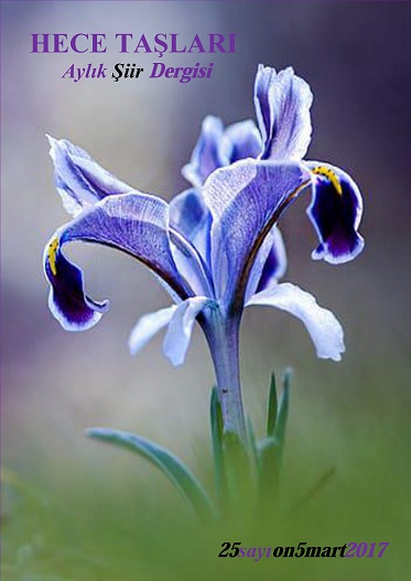 Hece Taşları 25