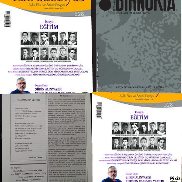 Buse Şanlı: Bu ayın üç dergisi