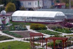 Harnâme'nin şairi şifa dağıtıyor