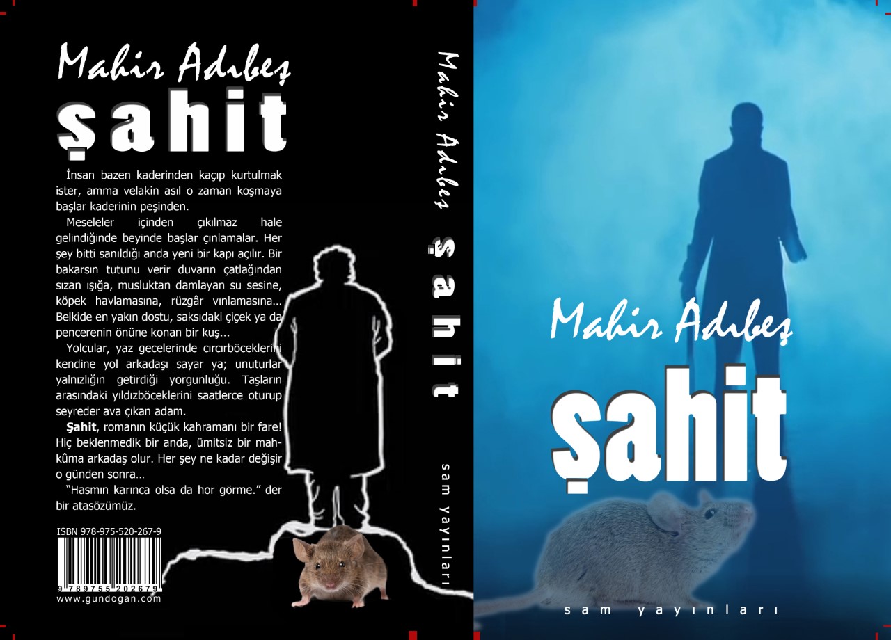 Mahir Adıbeş'in "Şahit" Romanı