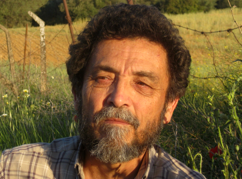 Endülüslü Bir Sanatçının Gözünden İslam ve Çağdaş Sanat