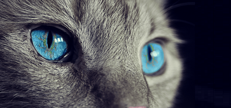 İhsan Deniz, Yaz Kalbiyle Gelir