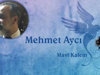 Mehmet Aycı: Üzgün Kuşlar Galerisi