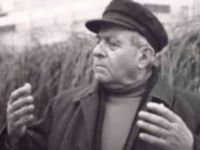 Ahmet Arif, Uy Havar
