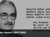 Orhan Alimoğlu: Bir âhir zaman Veysel’i (1927-1993)