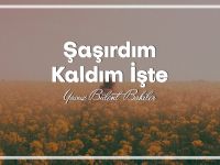 Memiş Okuyucu: ”Şaşırdım Kaldım İşte” Şiiri ve Hikayesi