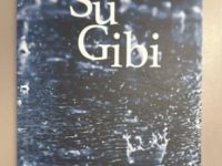 Necla Dursun: Su Gibi Duru