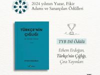 TYB, Yılın Sanatçıları, Ödüller, İzlenimler, İşaretler
