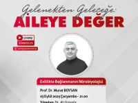 Evlilikte Bağlanmanın Nörobiyolojisi