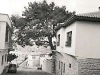 Mülki bekadan gelmişim, fani cihanı neylerim