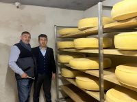 Kars, Boğatepe ve Peynirin Mantığı