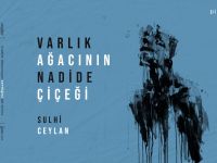 Sulhi Ceylan: Varlık Ağacının Nadide Çiçeği