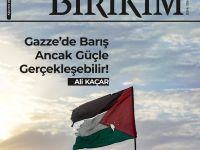 Genç Birikim dergisinin Ağustos 2026 (290.) sayısı çıktı.