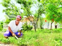 Sadık Albayrak'ın huzur sığınağı