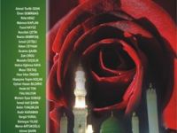 Berceste'nin Yolculuğu: İbrahim Şahin'le Edebiyat ve Dergicilik Üzerine