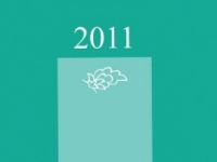 TYB, 2010’un bütün dökümünü çıkardı