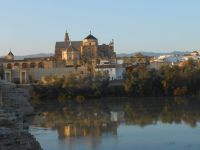 Kurtuba sokaklarında bir medeniyet tahatturu