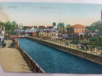 Birliğin Çığlığı: Emir Şekip Arslan