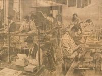 Çeşitli Yayınevlerinden Yeni Çıkan Kitaplar / Kasım 2016