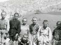 Ahmet Kutsi Tecer, Dost Yüzü