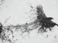 Kızılderili Antolojisinde Karga Burcu