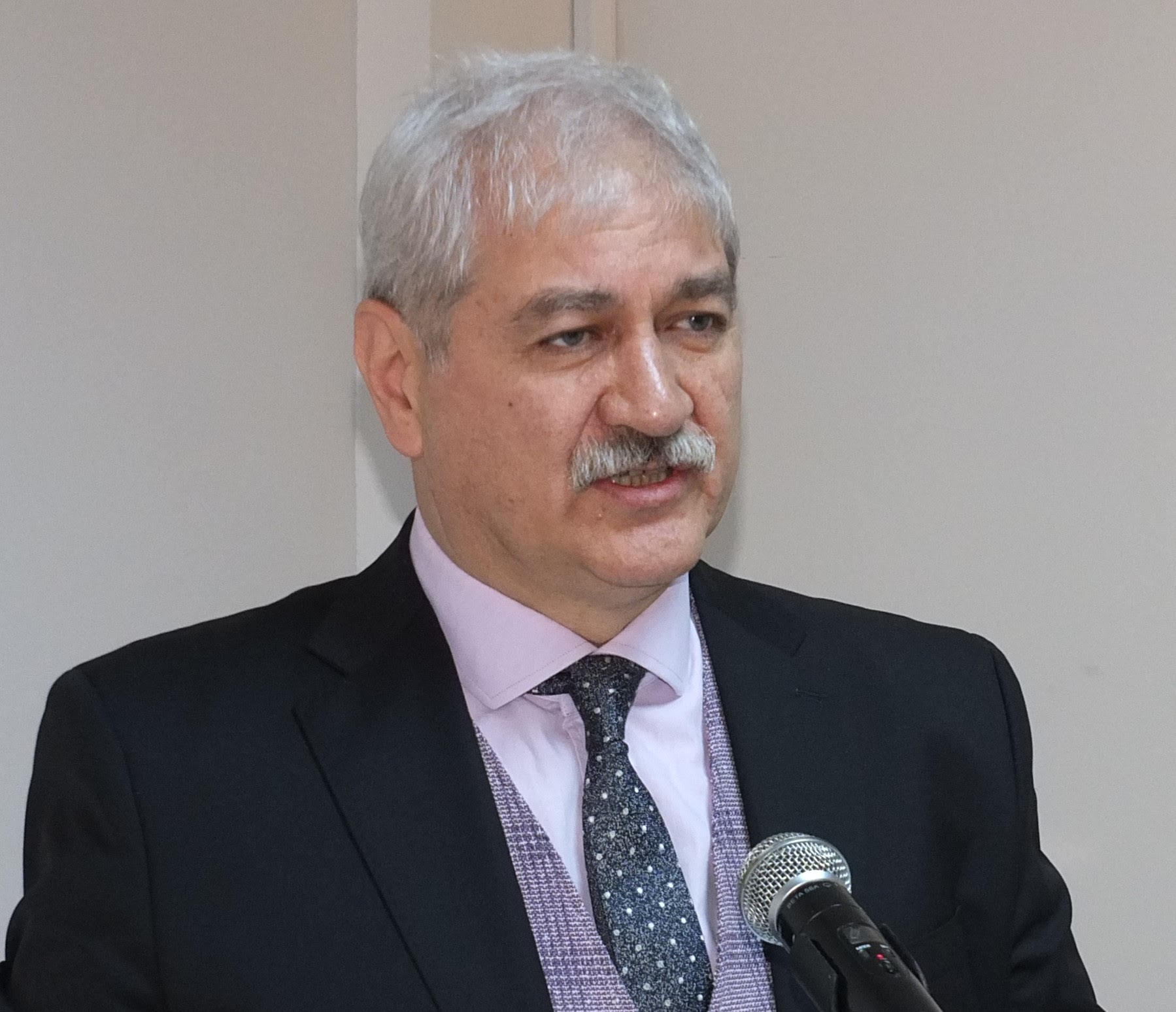prof.-dr.-hayri-erten-001.jpg prof.-dr.-hayri-erten-001.jpg